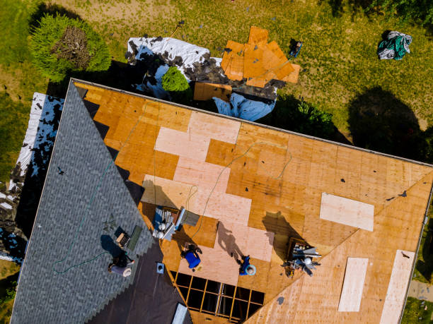 Best Roof Restoration Services  in Wamego, KS