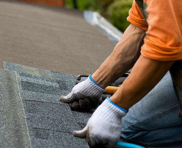 Best New Roof Installation  in Wamego, KS